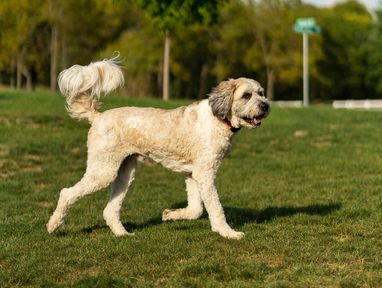 Marty & Emmett — image 1