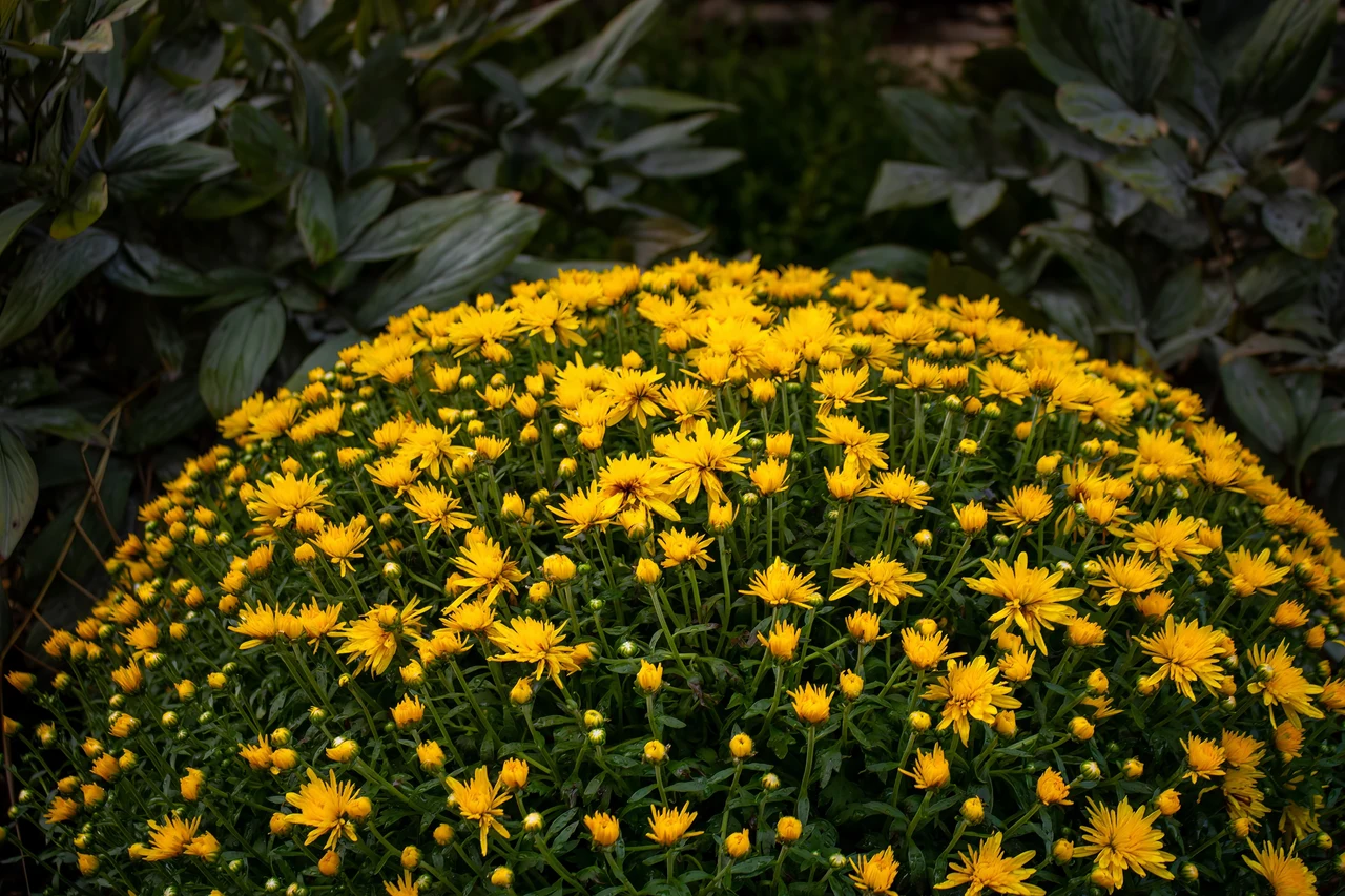 9 / 18 / 2018 — image 2
