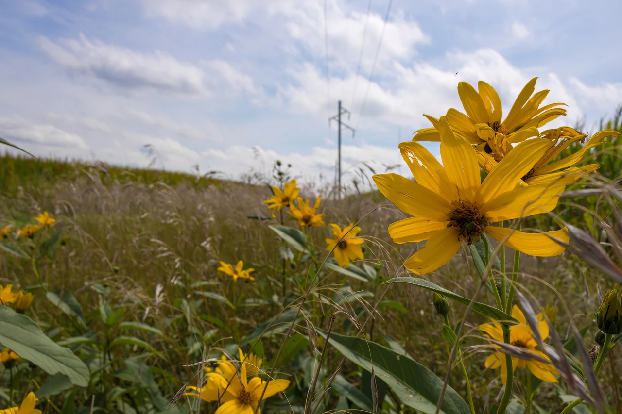 9 / 01 / 2018 — image 6