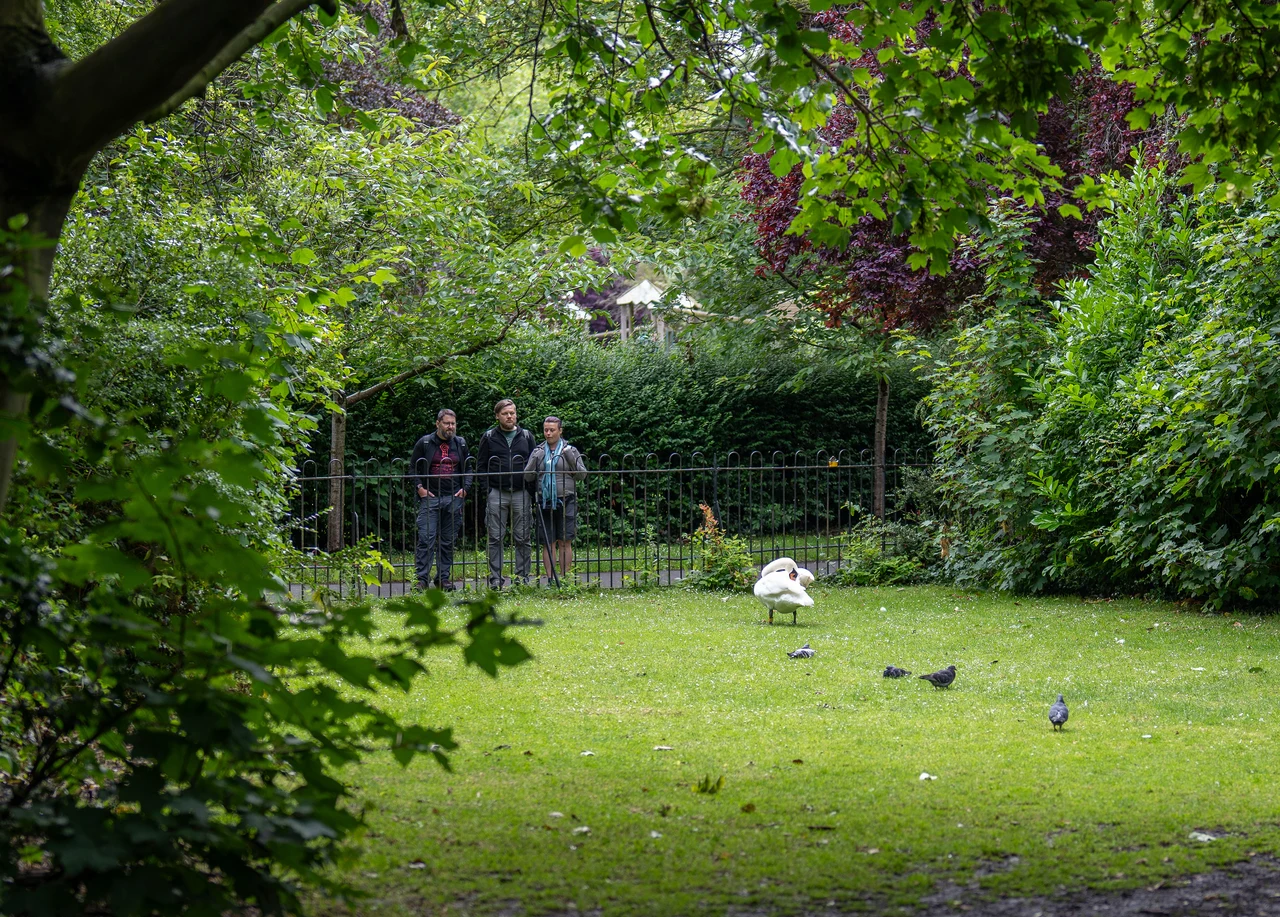 Ireland 2024 — image 29