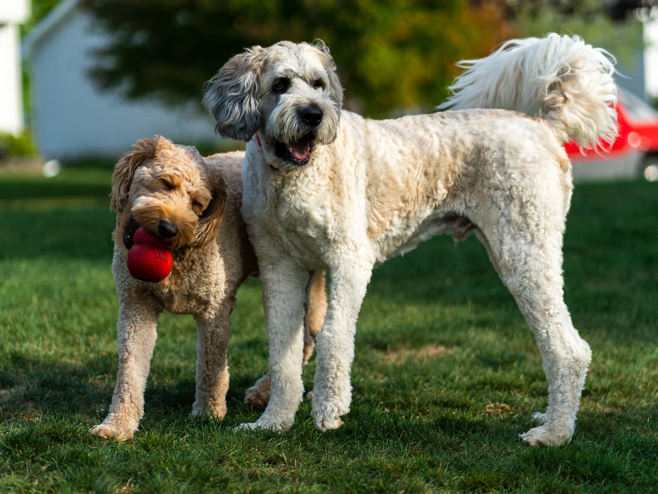 Marty & Emmett