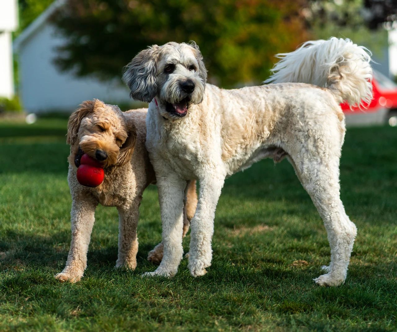 Marty & Emmett — image 2
