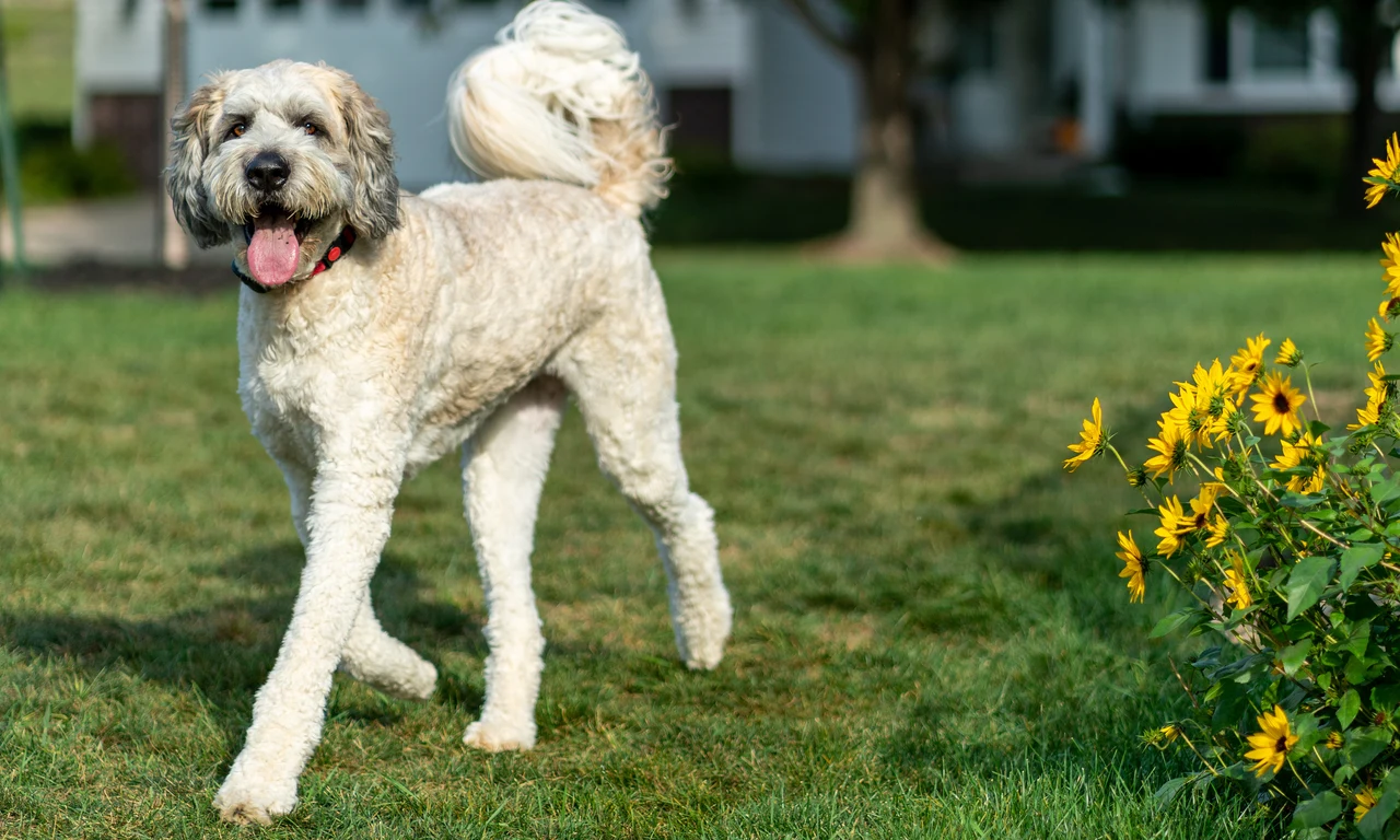 Marty & Emmett — image 9