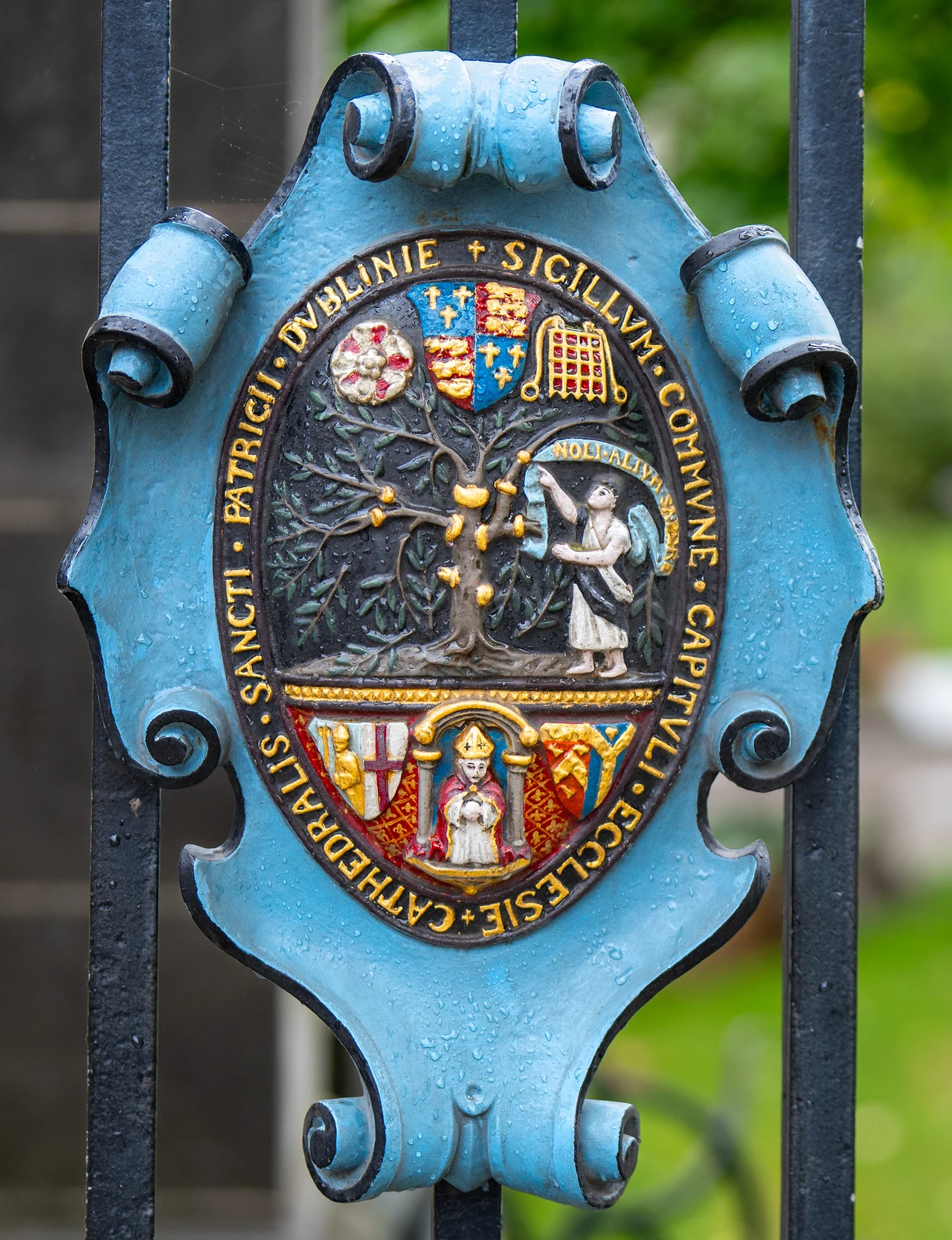 Ireland 2024 — image 21