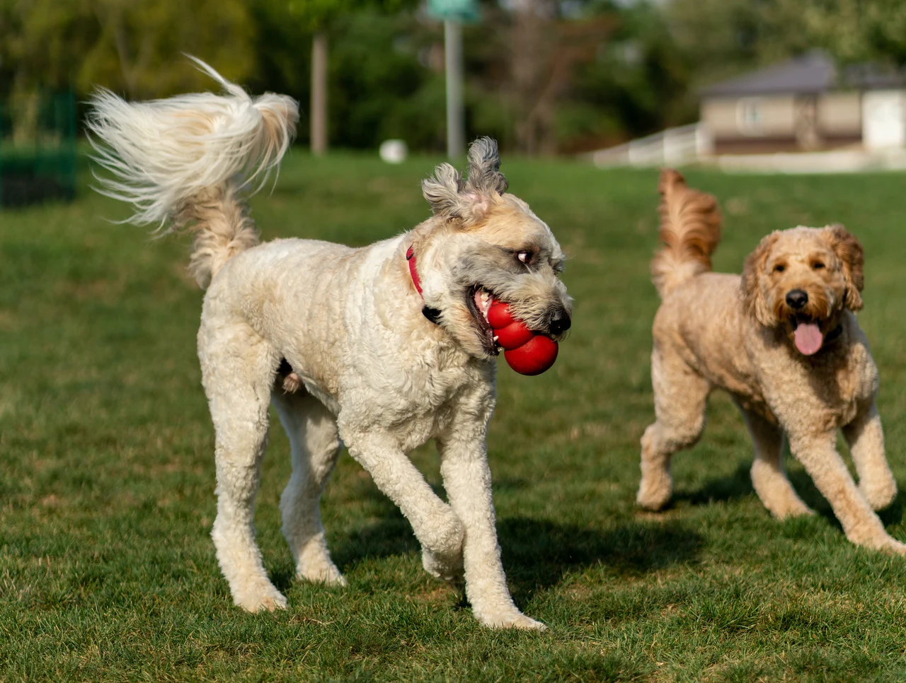 Marty & Emmett — image 7