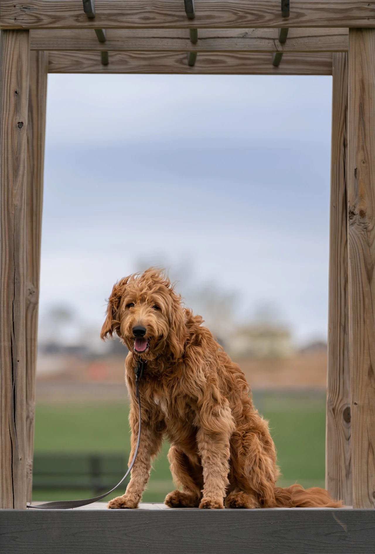 Arthur - Apr. 2023 — image 1